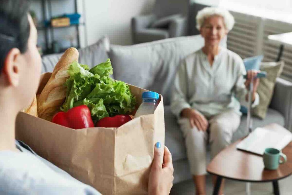 A hospice volunteer delivering groceries to an elderly woman seated on a couch.
